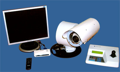 klen2010.jpg